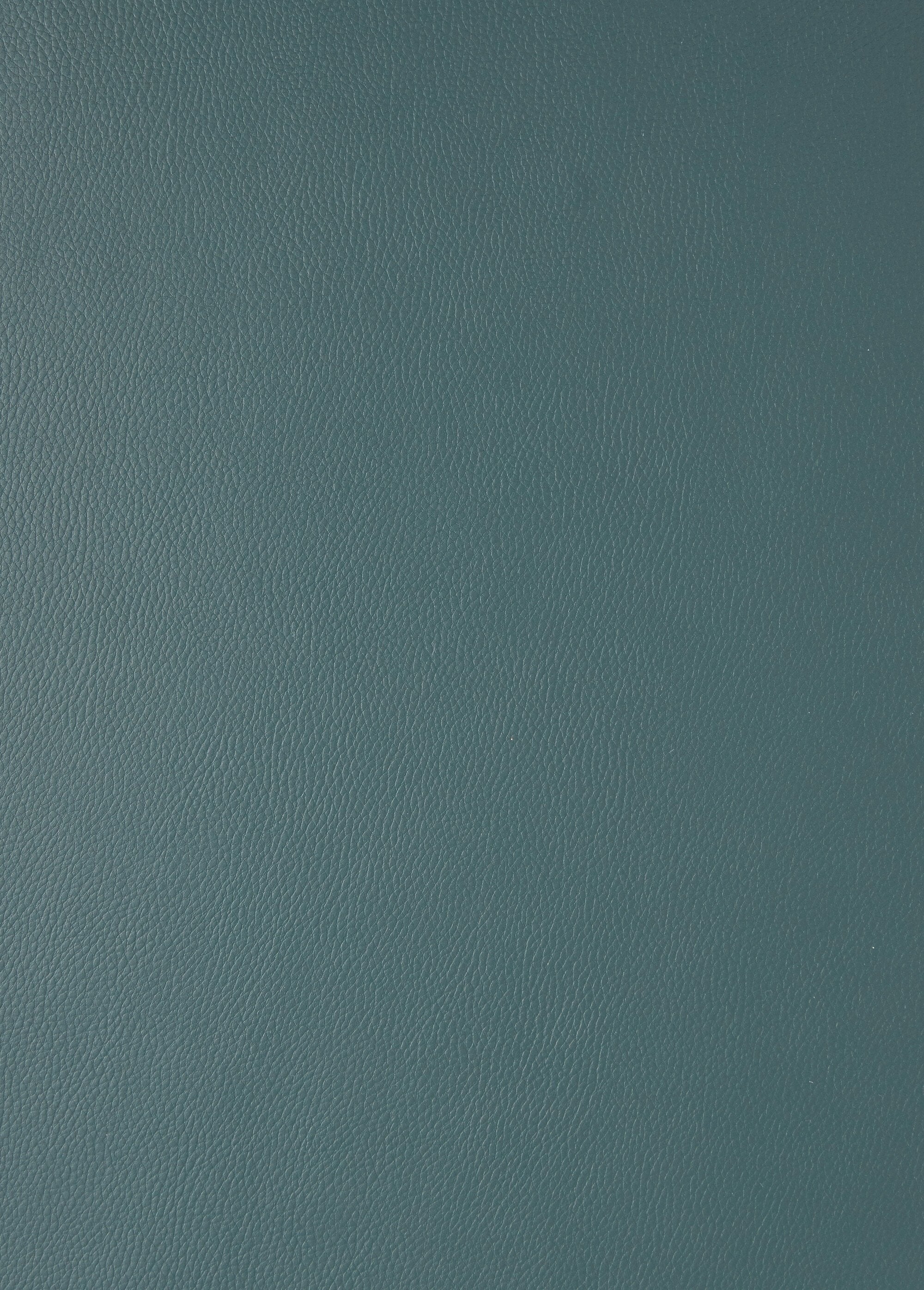 Plain_faux_leather_coupon_Fir_tree_DE1_slim