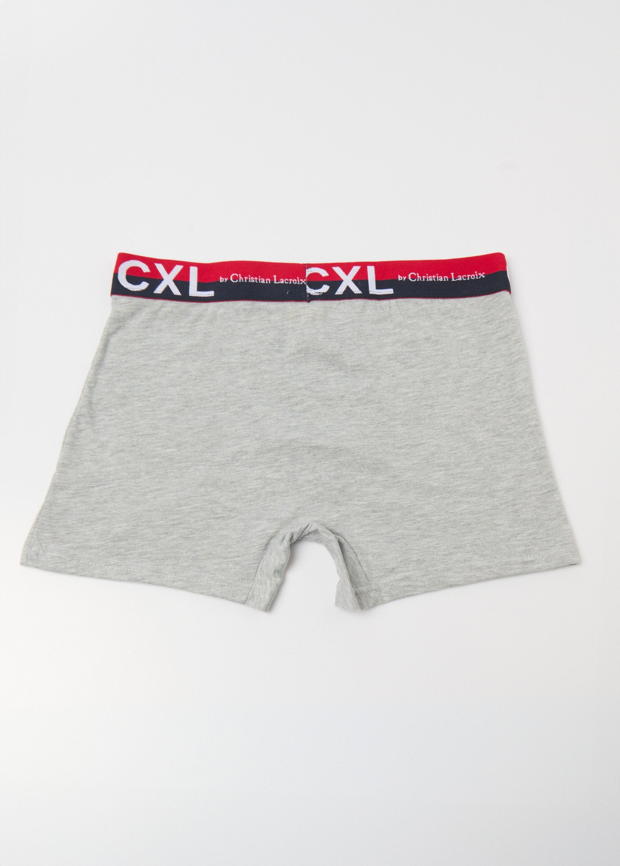 Plain_boxer_shorts_with_logo_waistband_Light_gray_DO1_slim