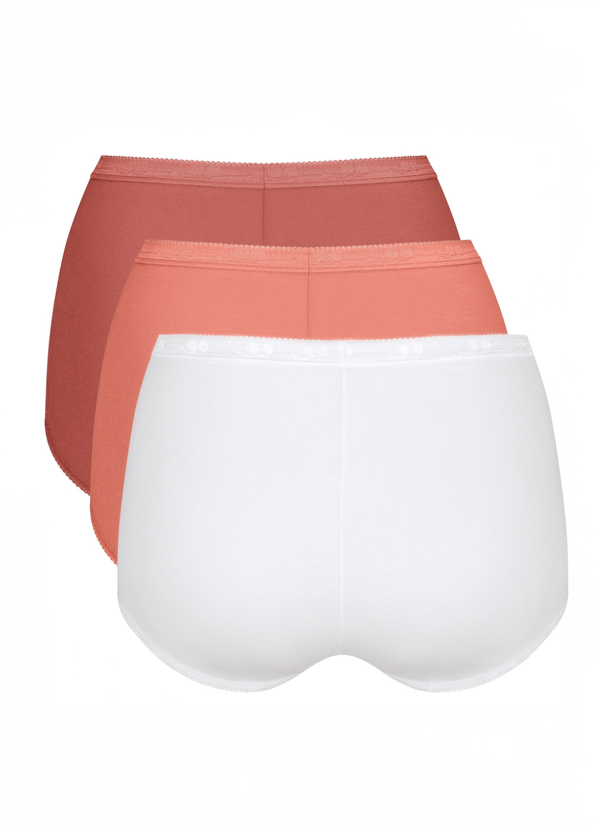 Sloggi®_-_Pack_of_3_basic_maxi_panties_save_10%_Assorted_lot_3_DO1_slim